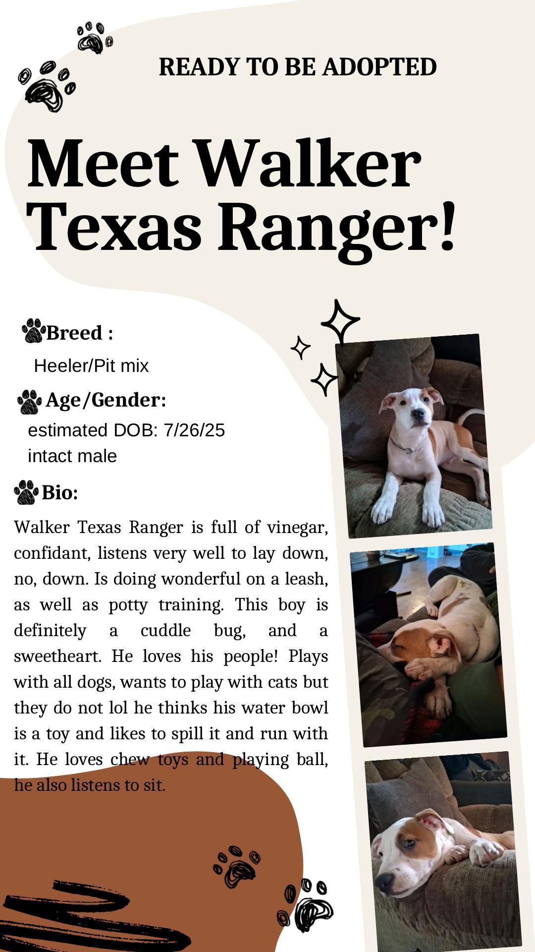 Walker Texas Ranger