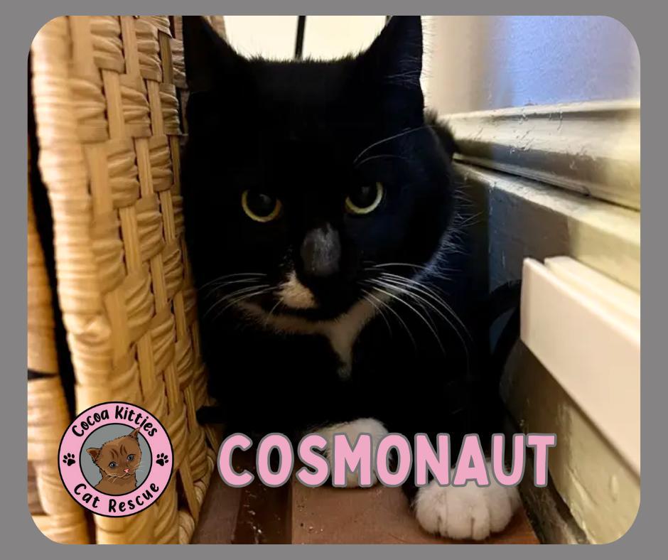 Cosmonaut