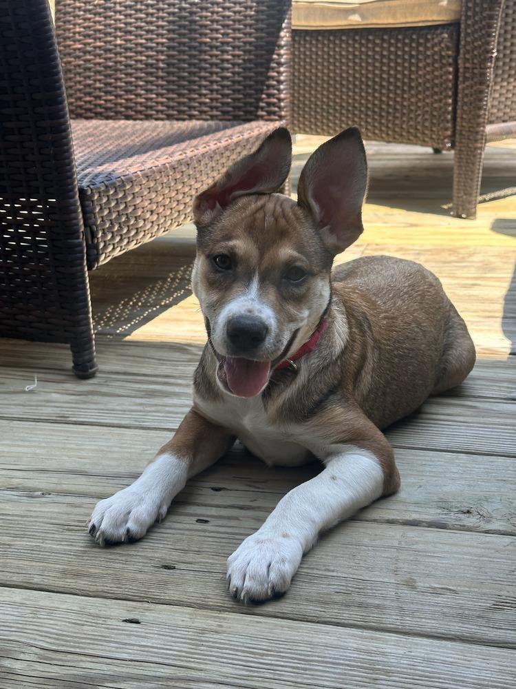 Endless Summer photo 1