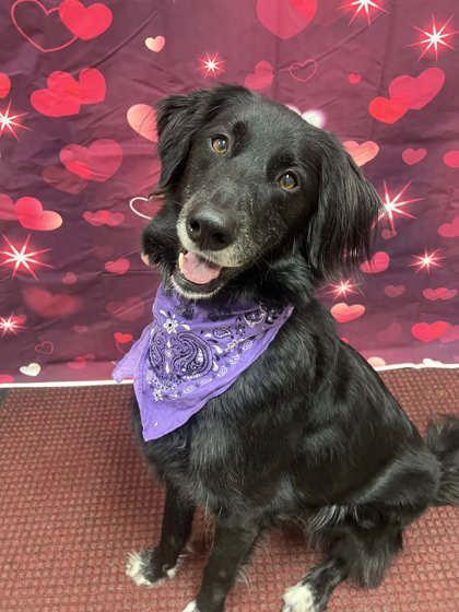 Cosmoadventurous & Friendly