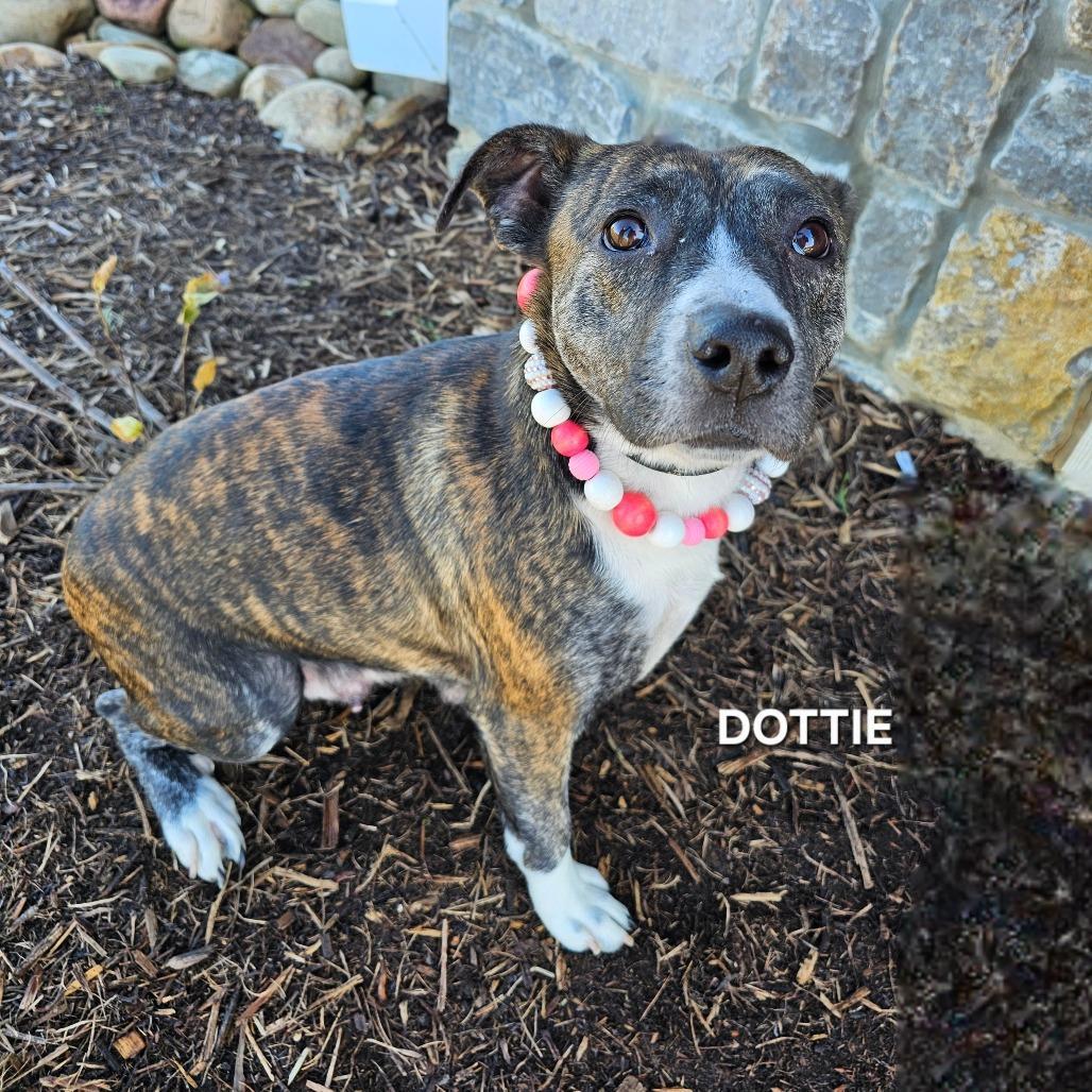 Dottie