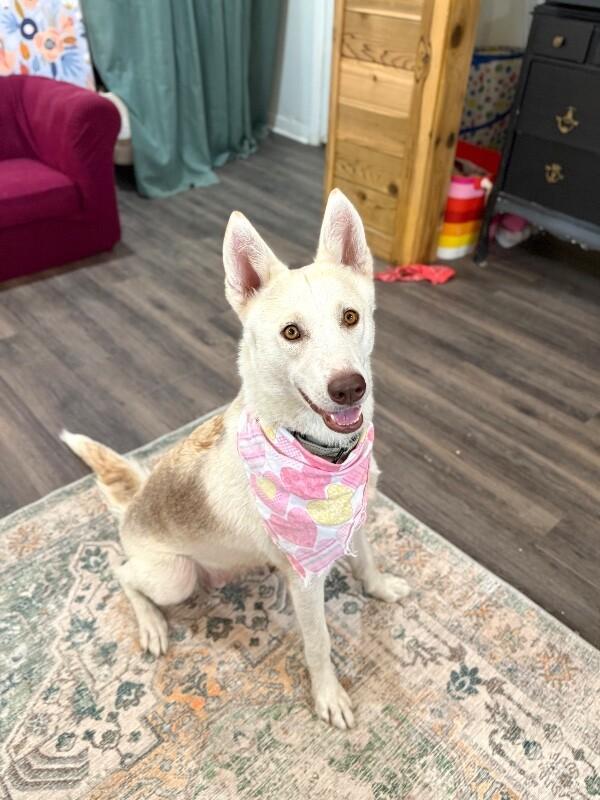 Bahama Mama Gives Gentle