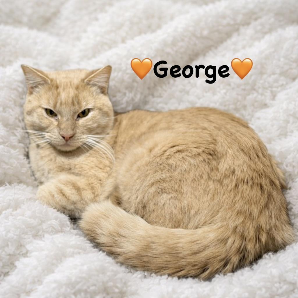 George