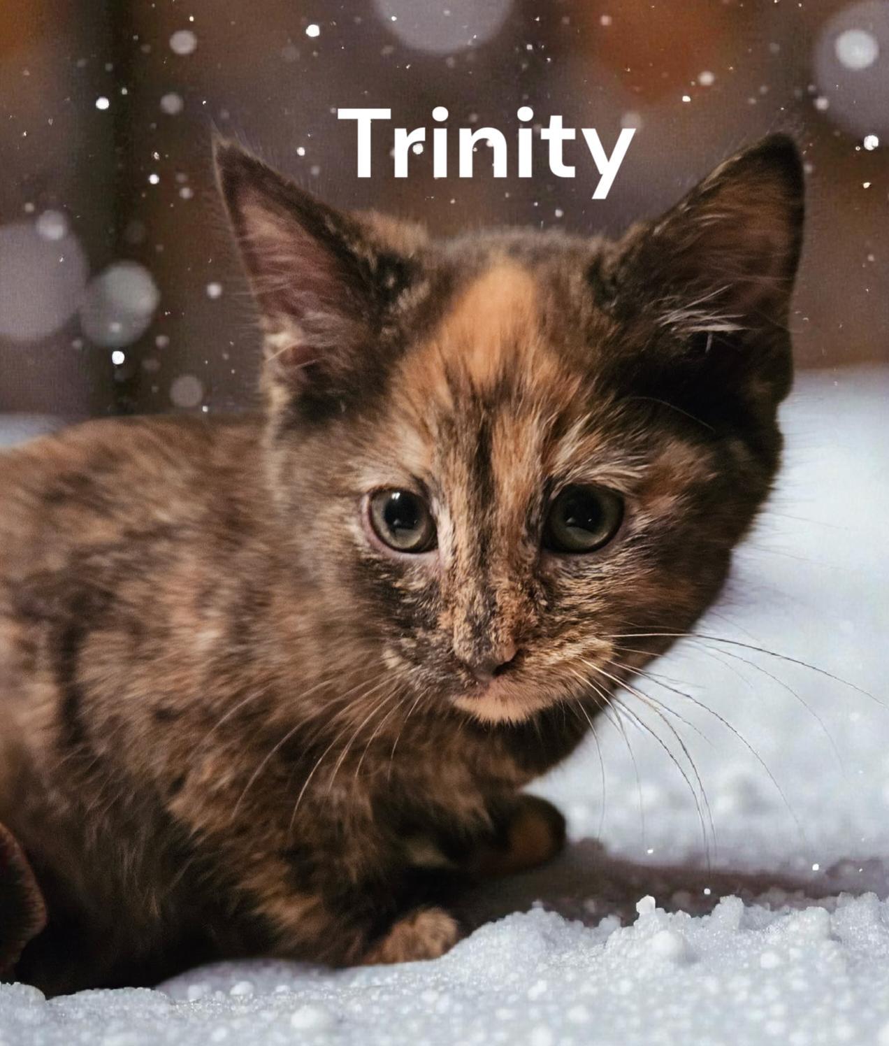 Trinity