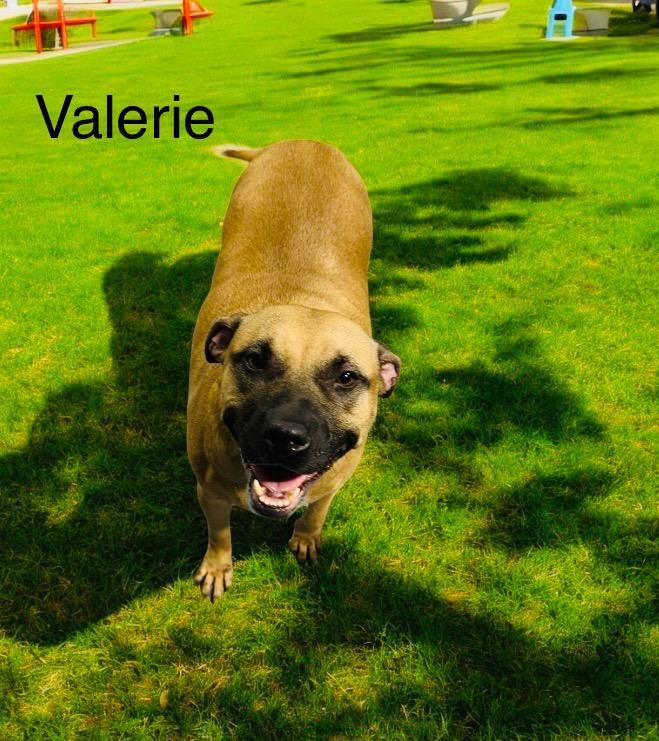 Valerie