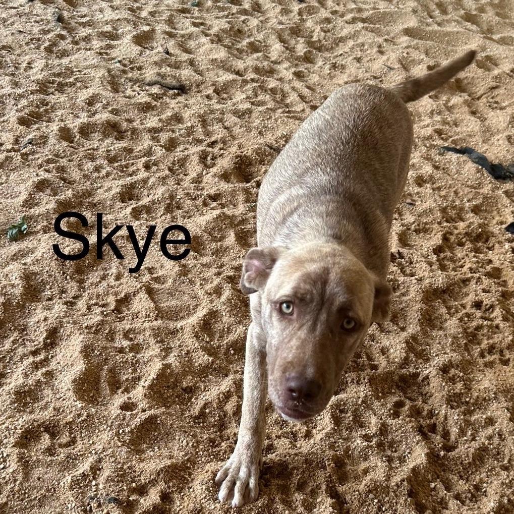 Skye