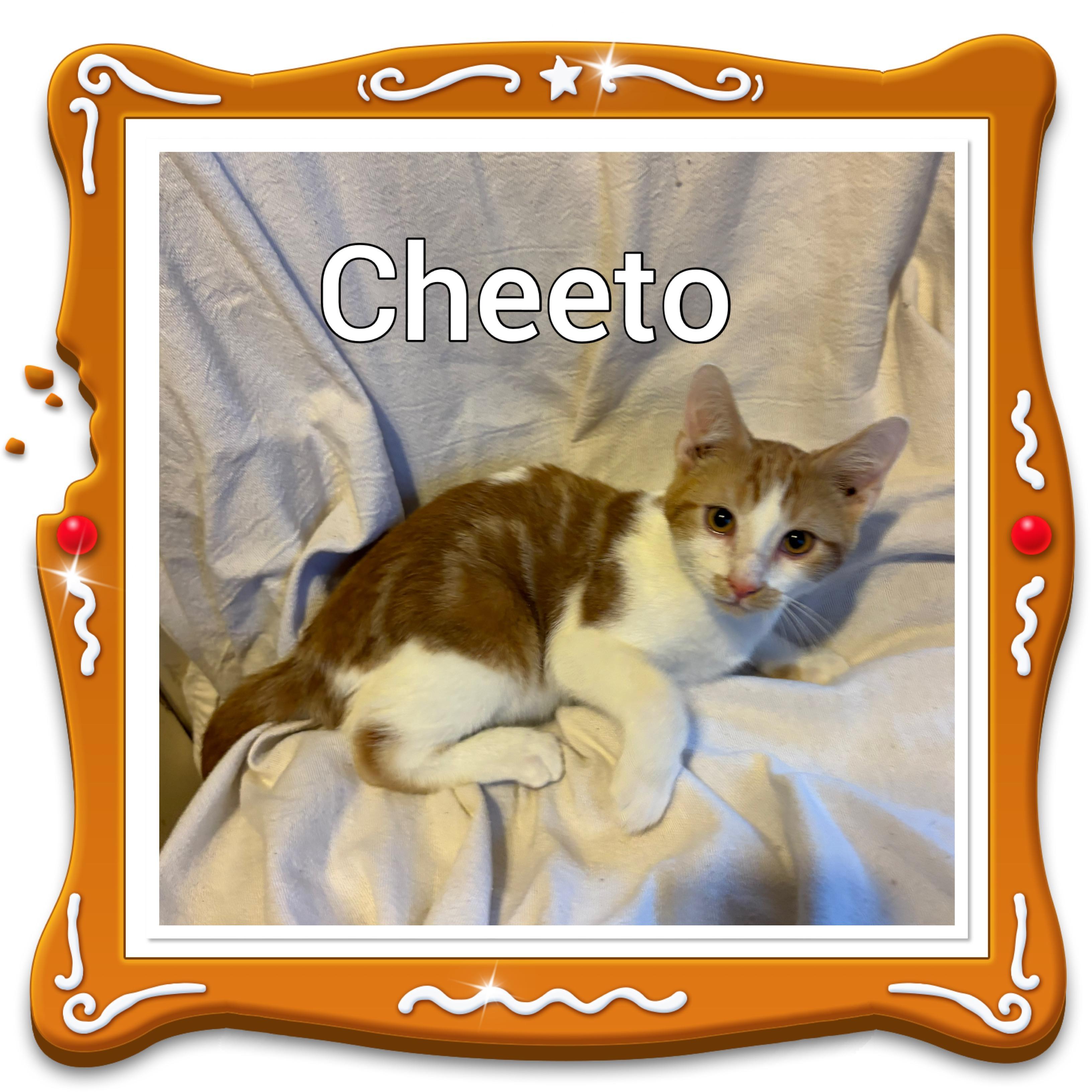 Cheeto
