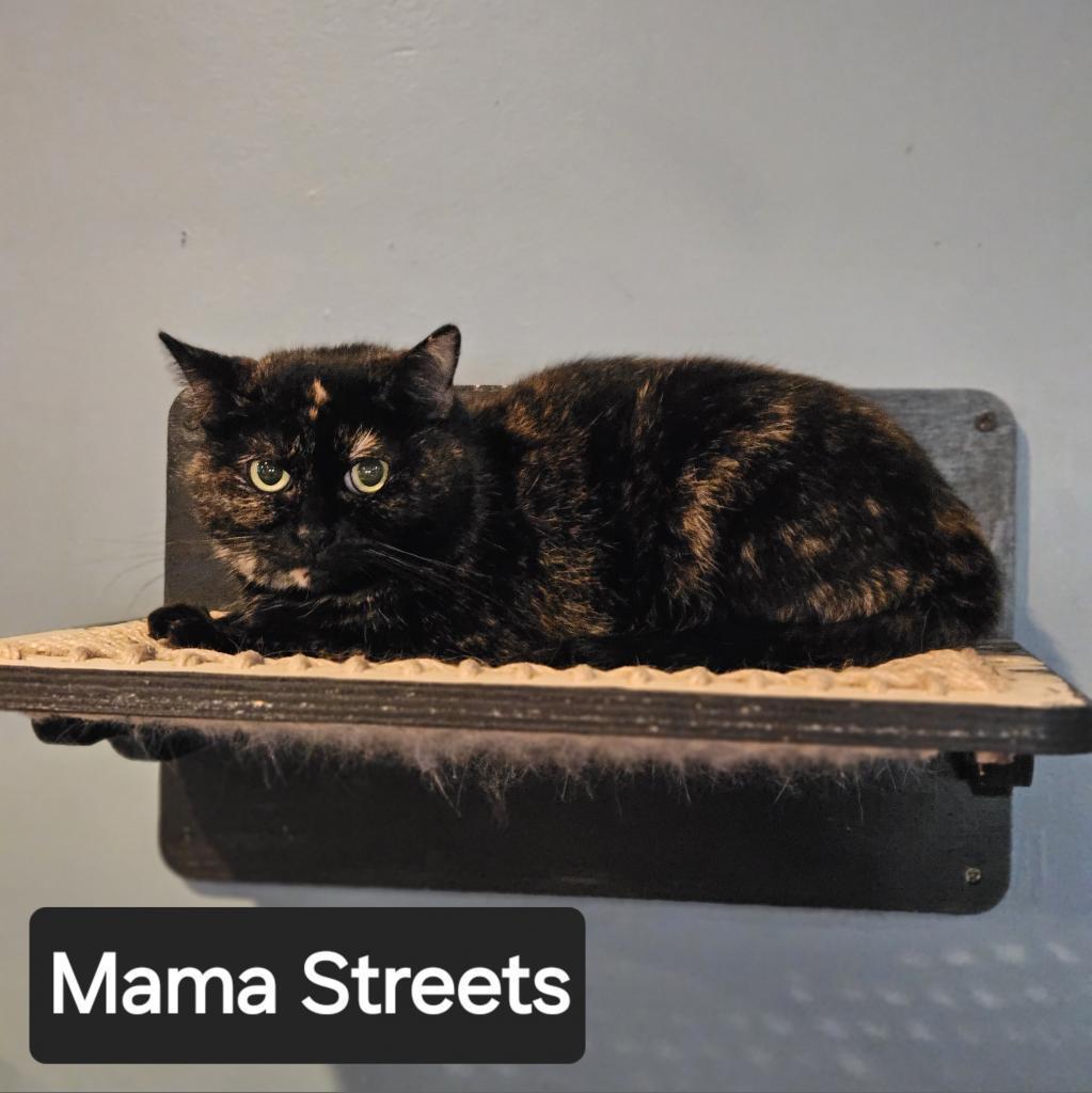 Mama Streets