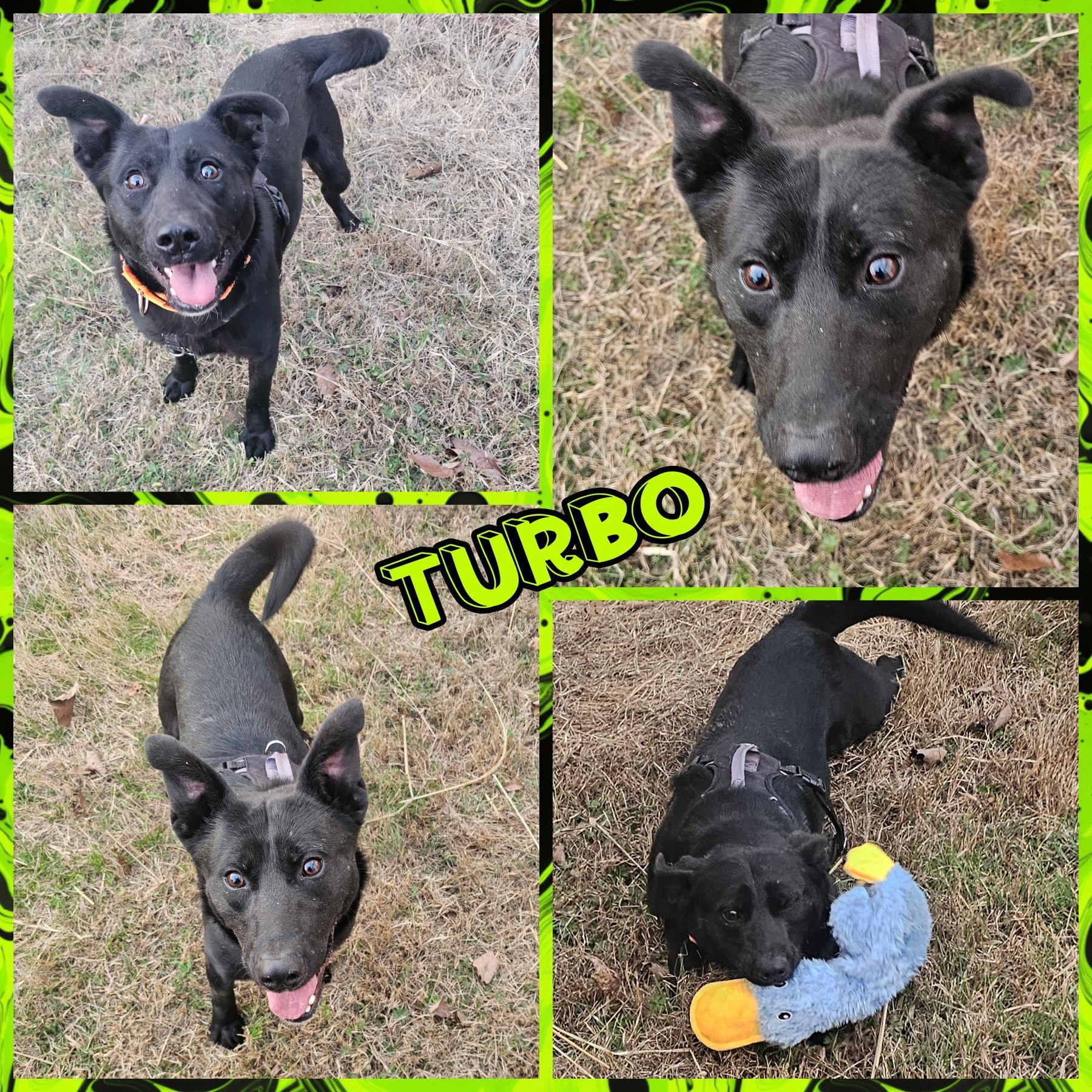 Turbo