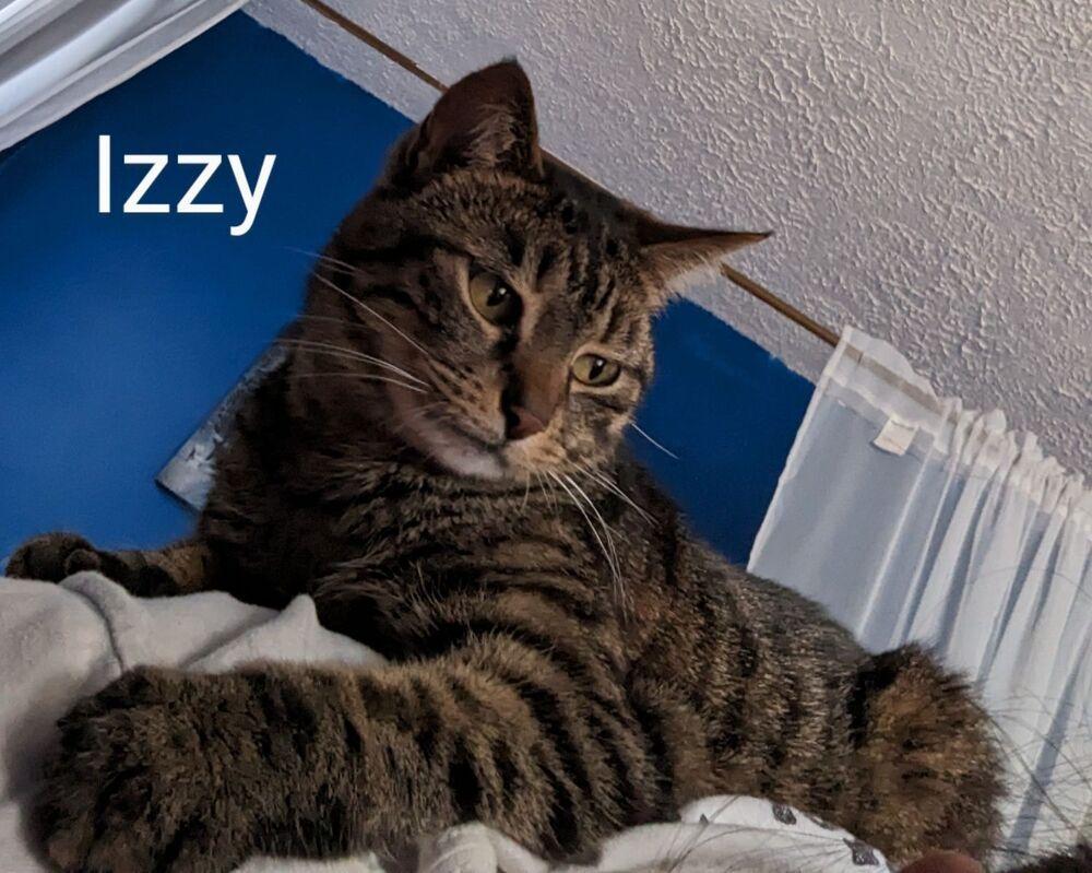 Izzy