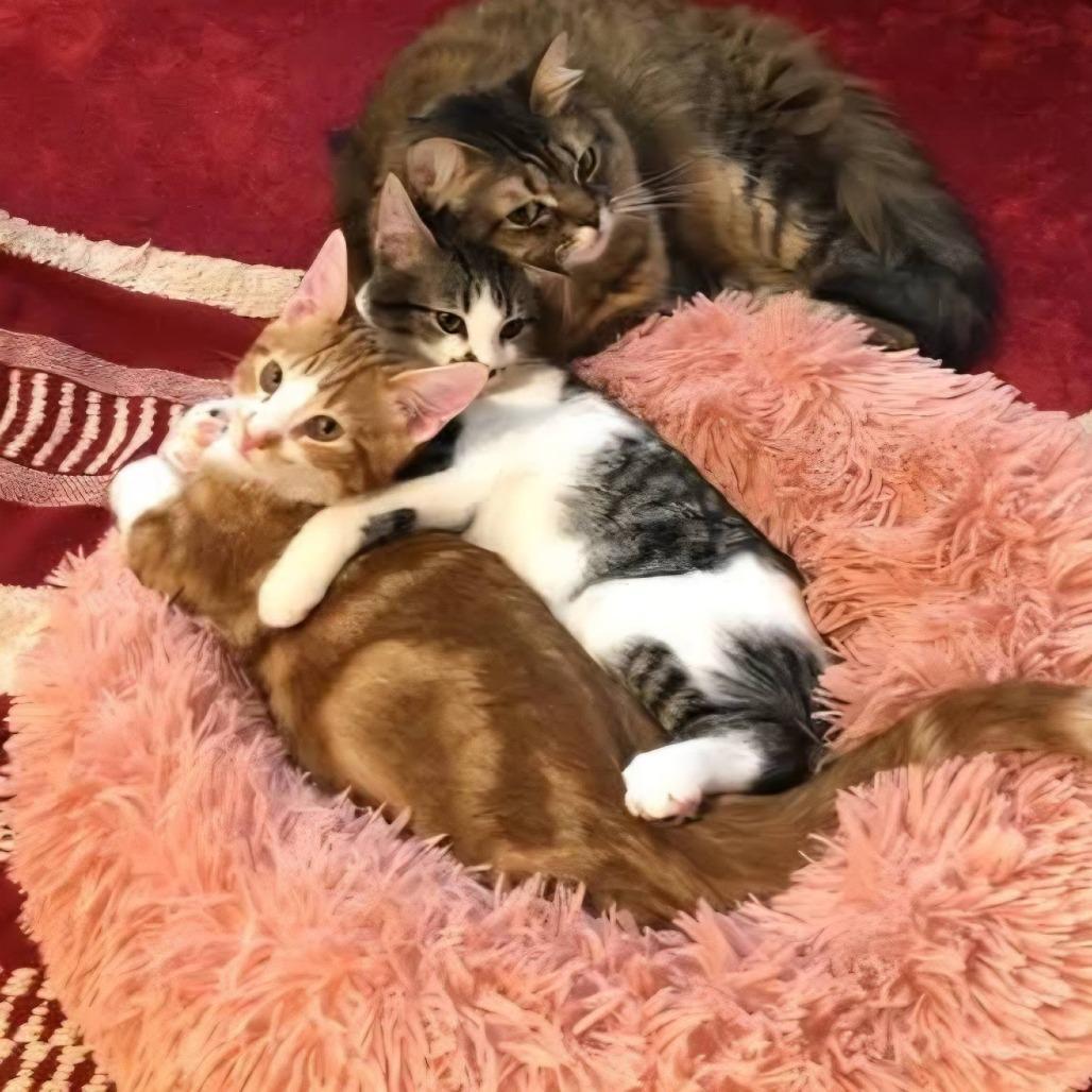 Peanut Estes photo 1