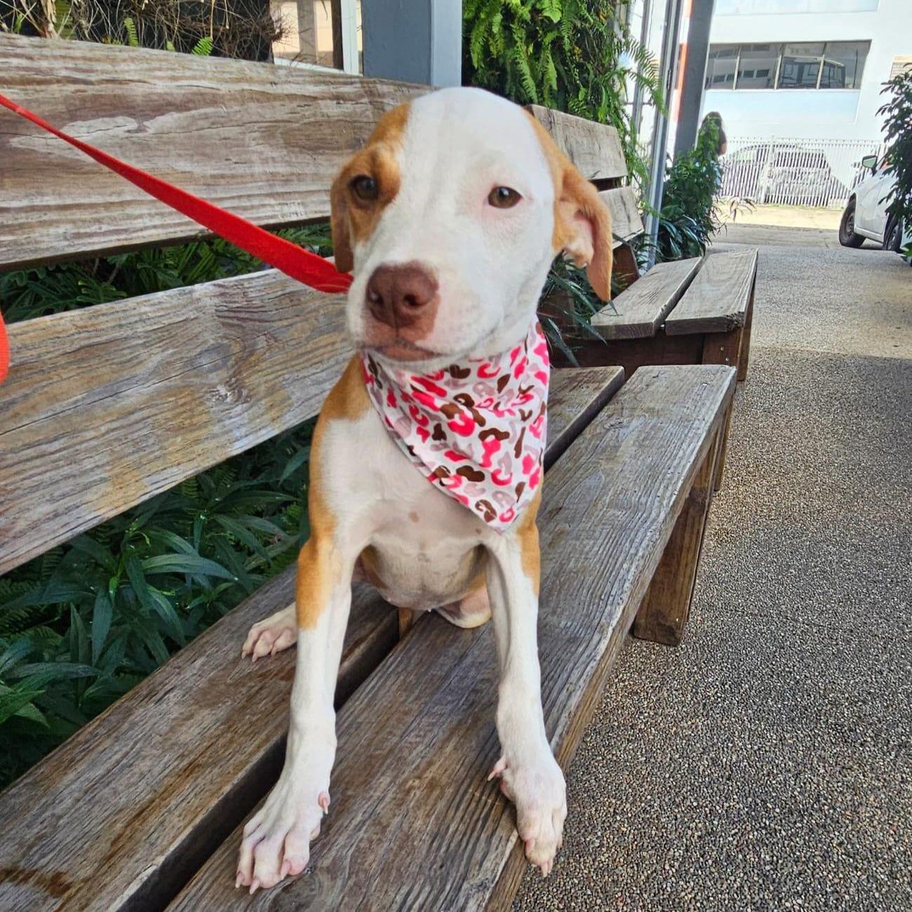 Xelena "believe In Our