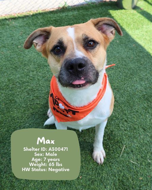 Max