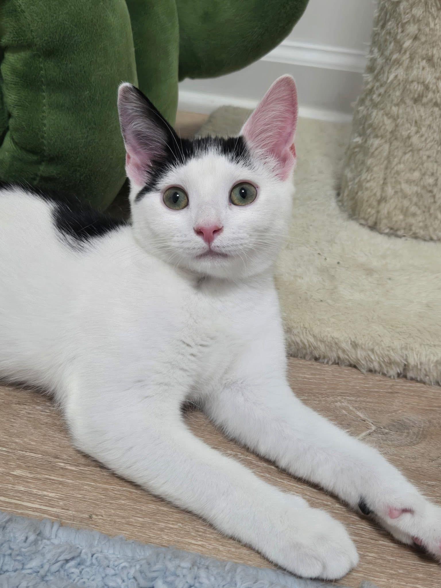 Natty And Raven photo 1