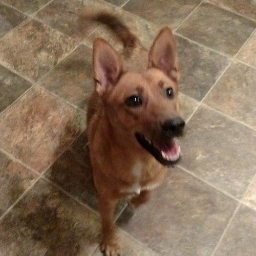 Renegade Socially Imperfect