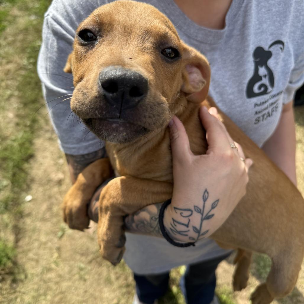 Tinkerbell Manila Crk