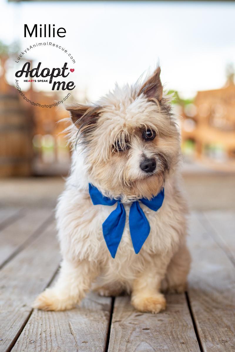 Millie