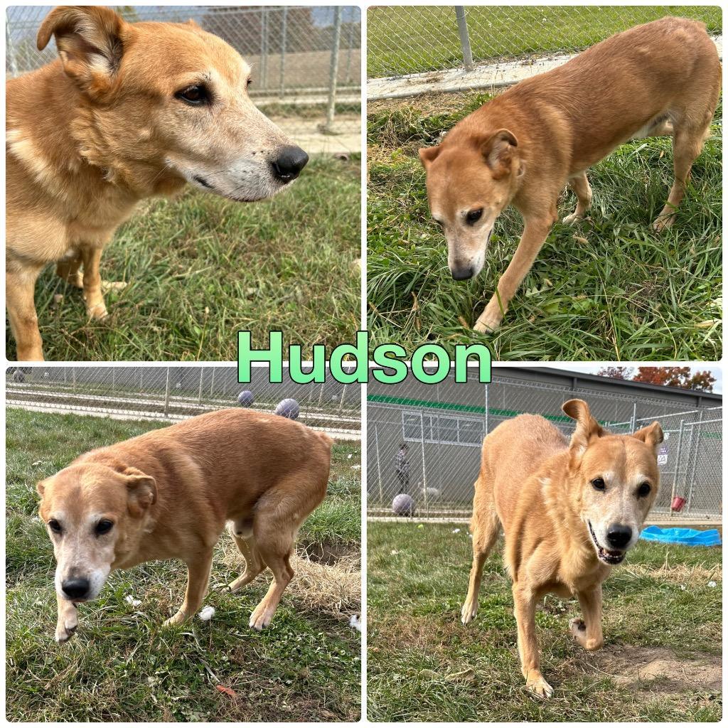 Hudson