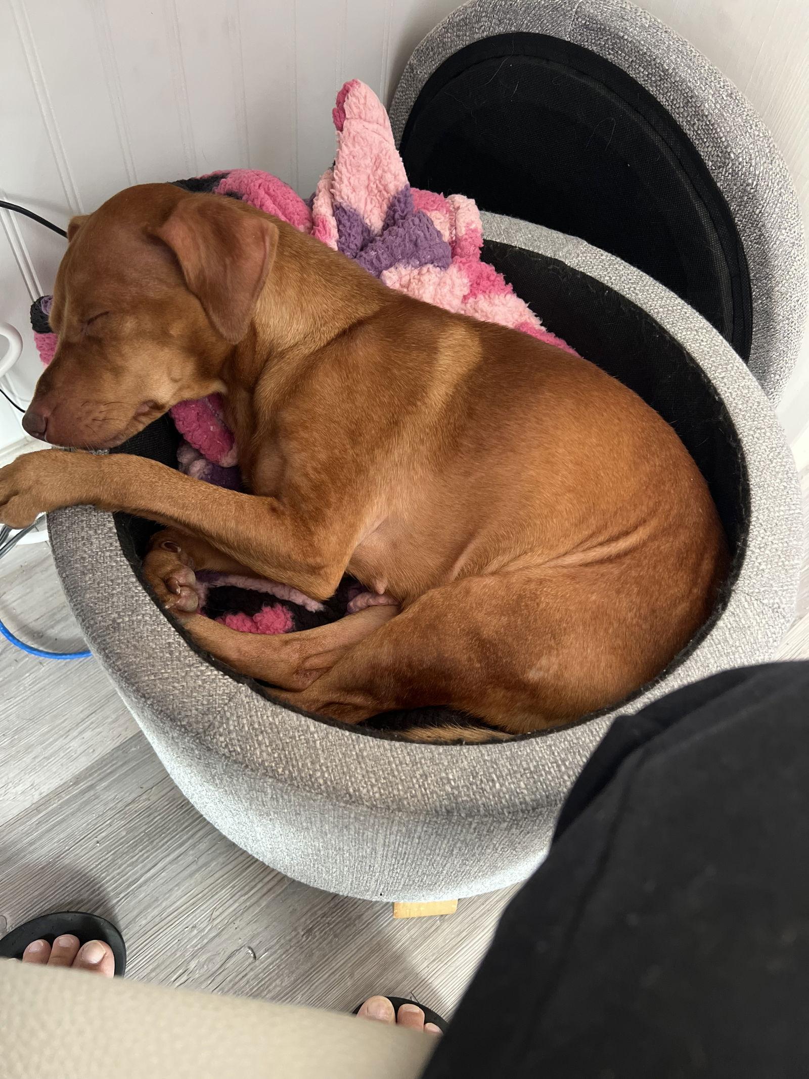 Brandi Sweet Soul photo 1