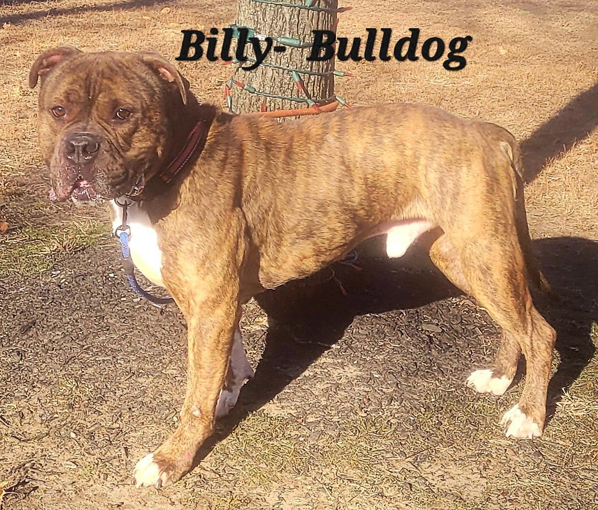 Billy Urgent