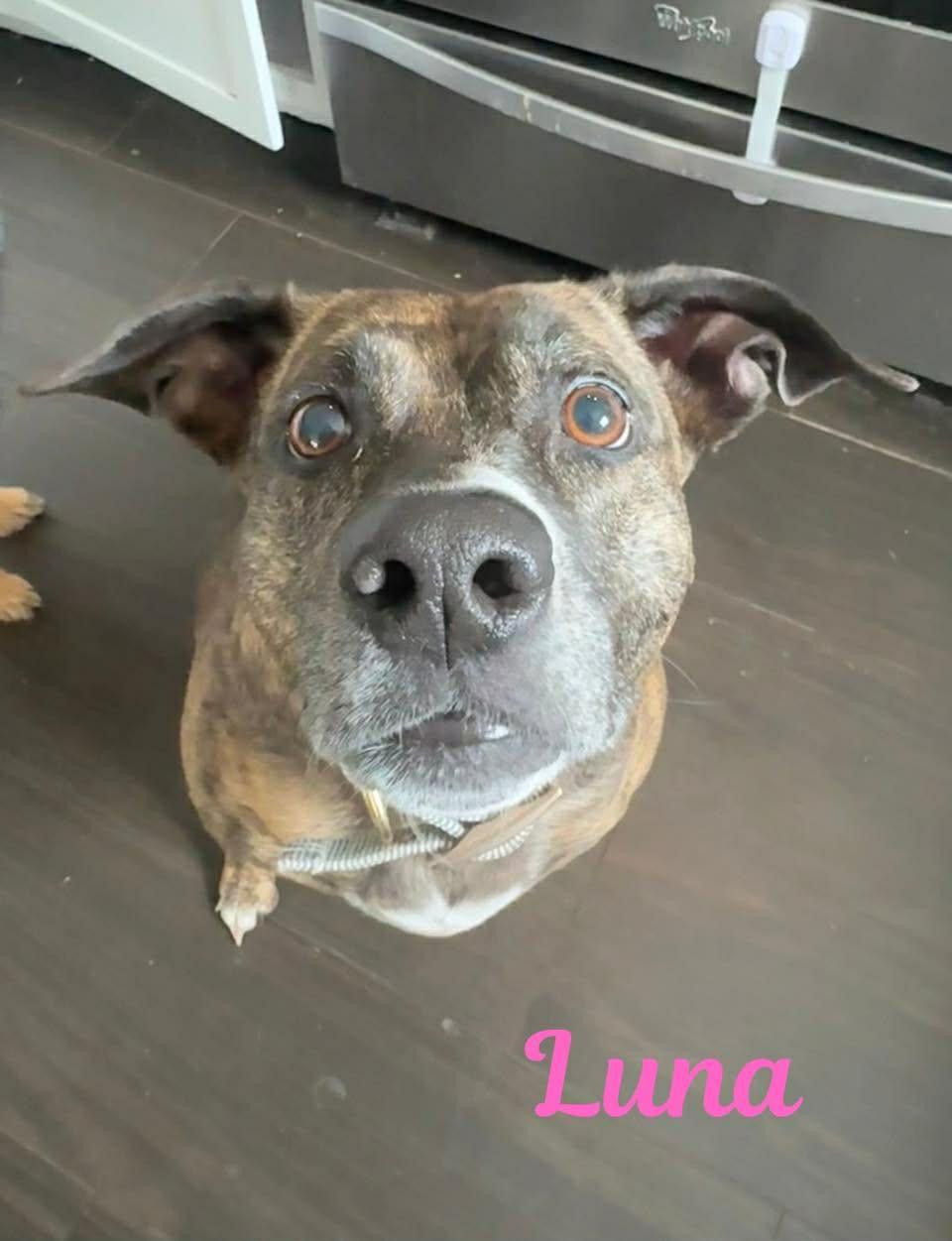 Luna