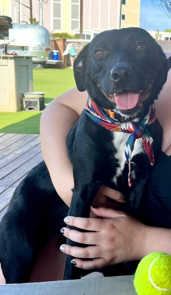 Lola Arriving In Maine