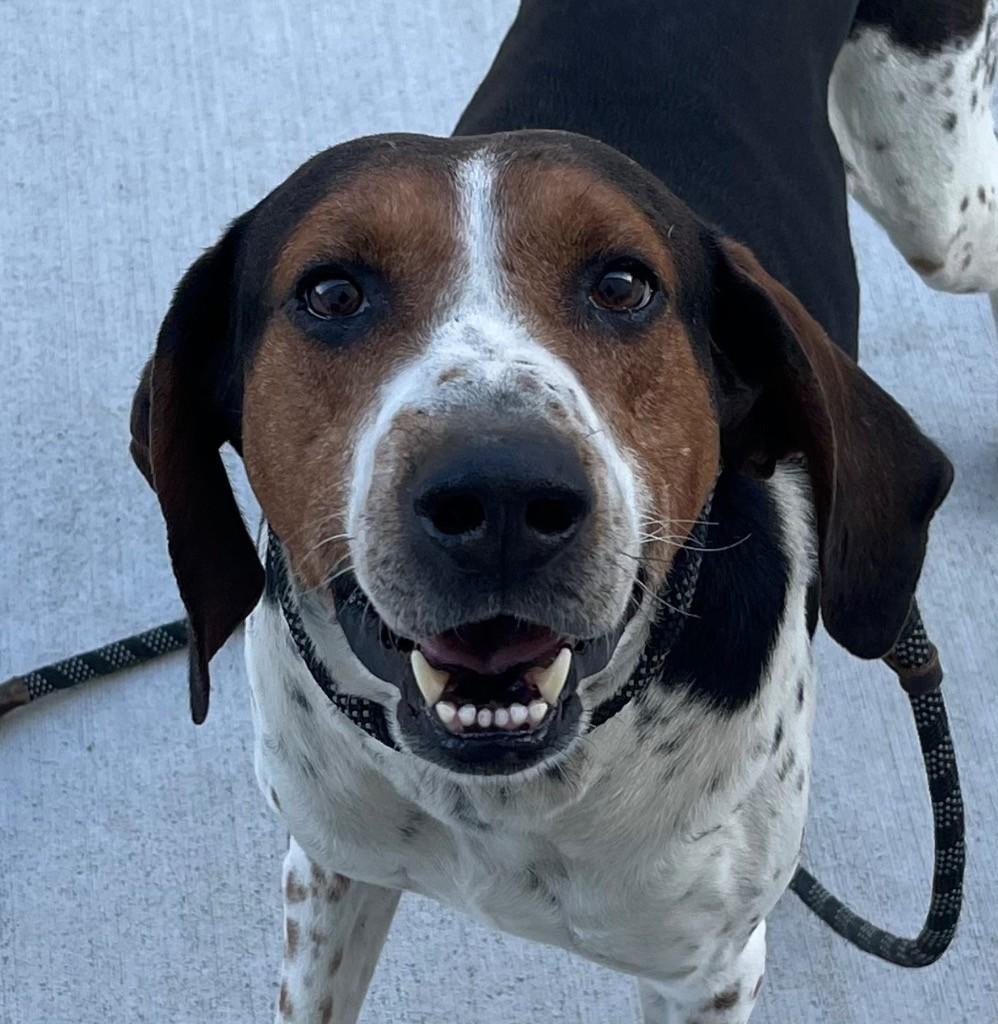 Fred And Ault Houndy