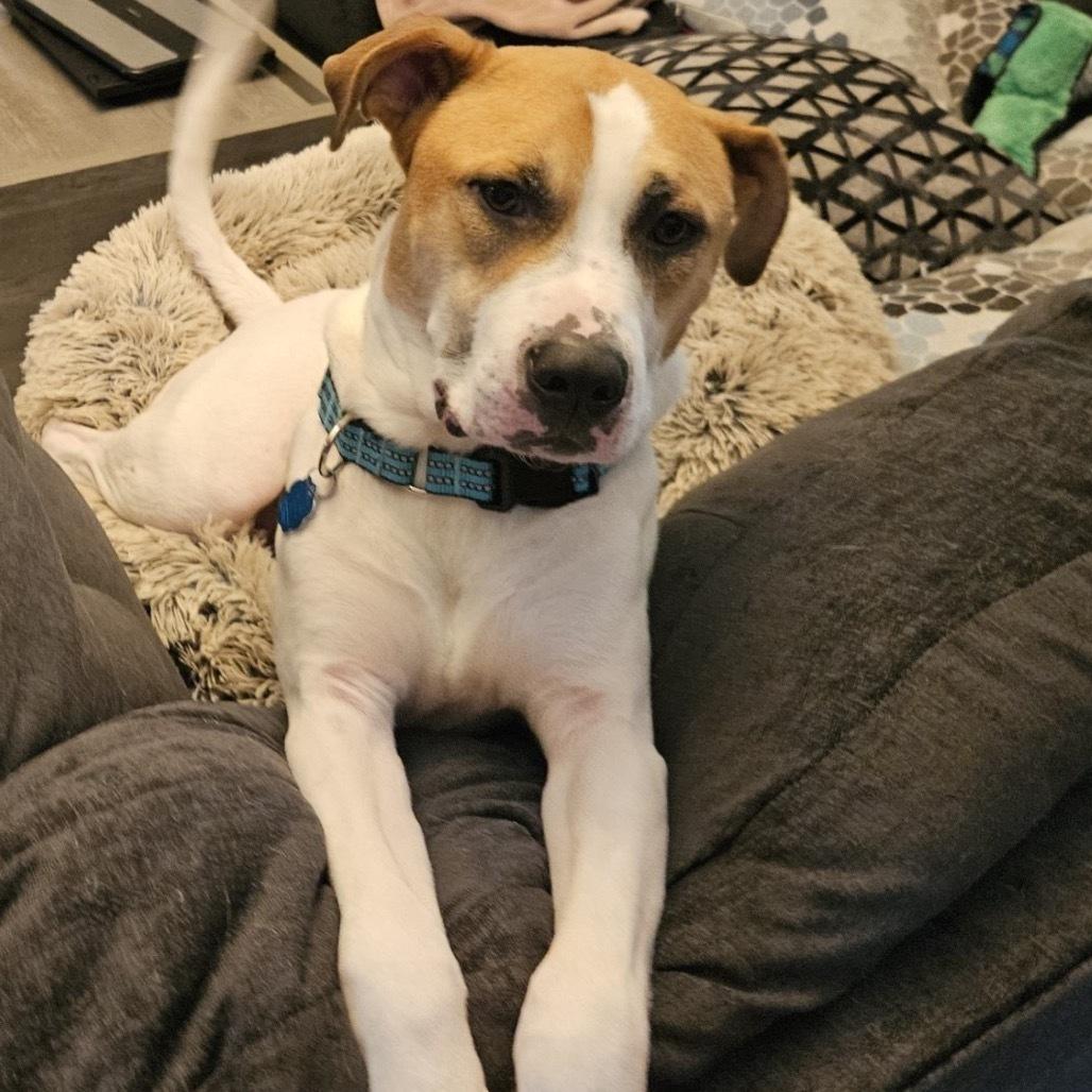 Gary All American photo 1