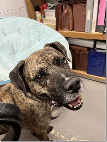 Grant Sweet Turn Key