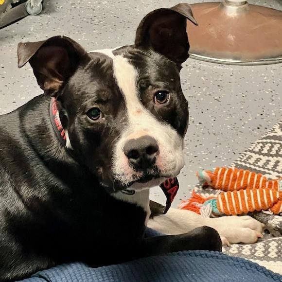 Charlie "peanut" Brown