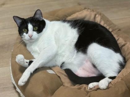 Fruit Loop `a photo 1