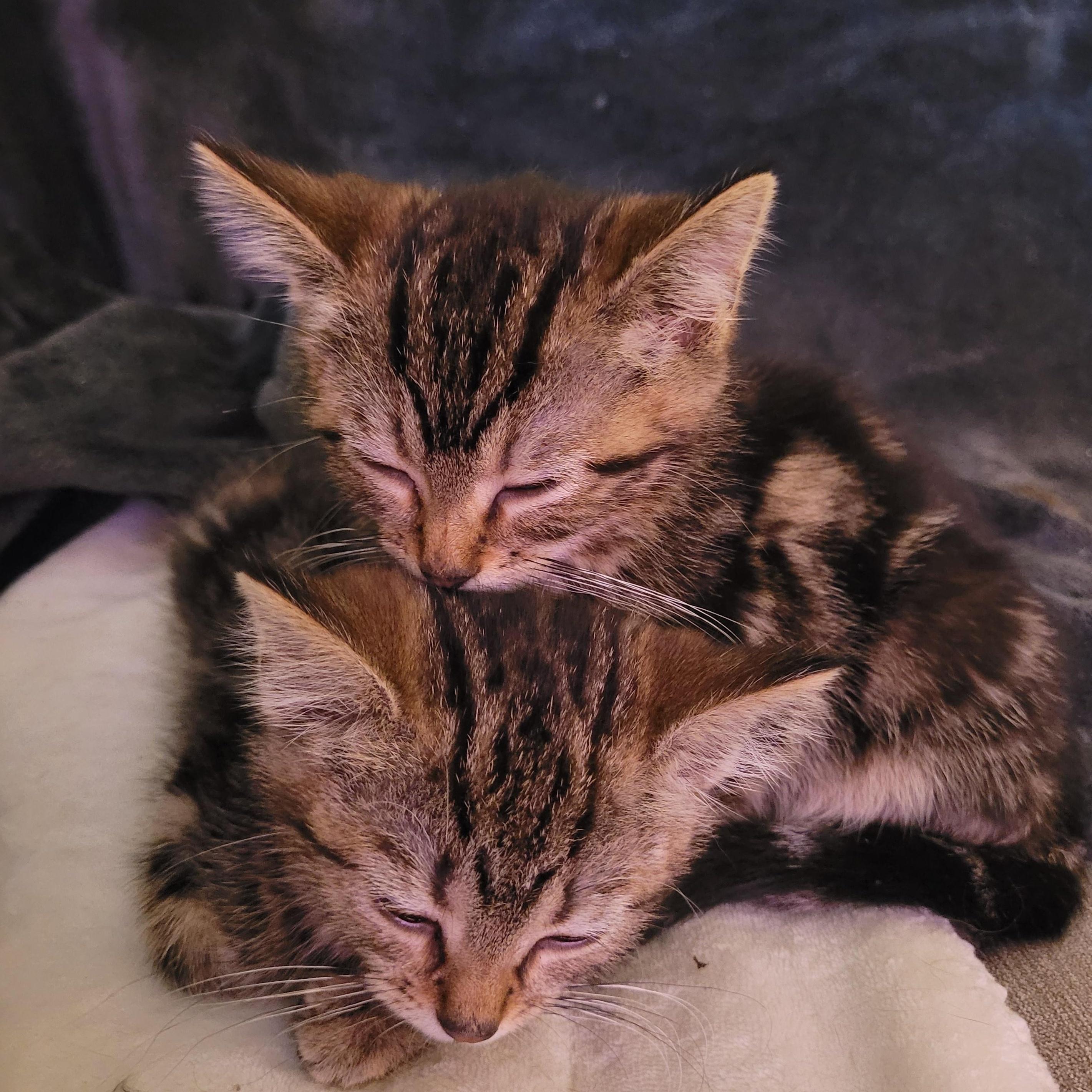 Dawson & Clarissa photo 1