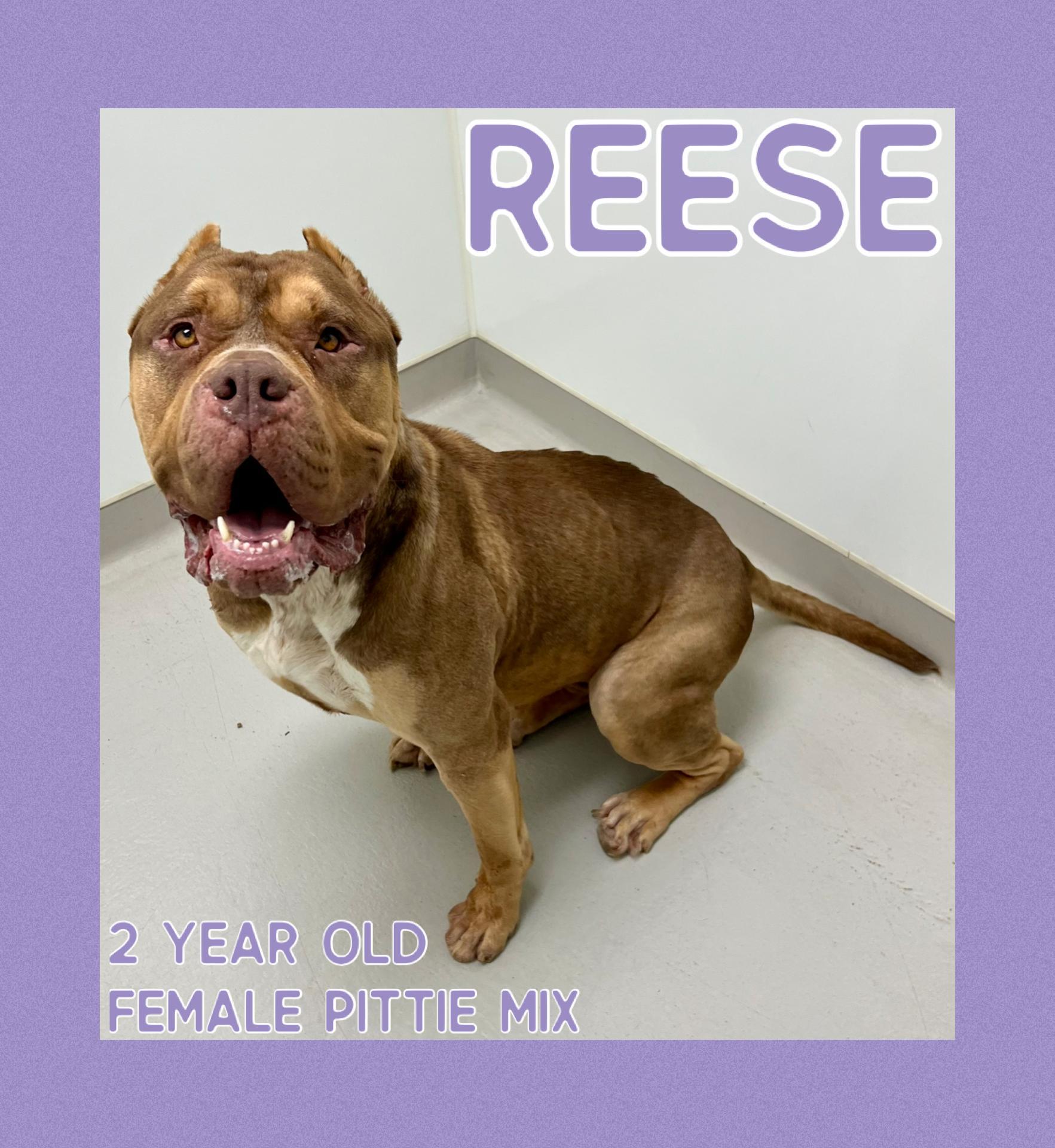 Reese