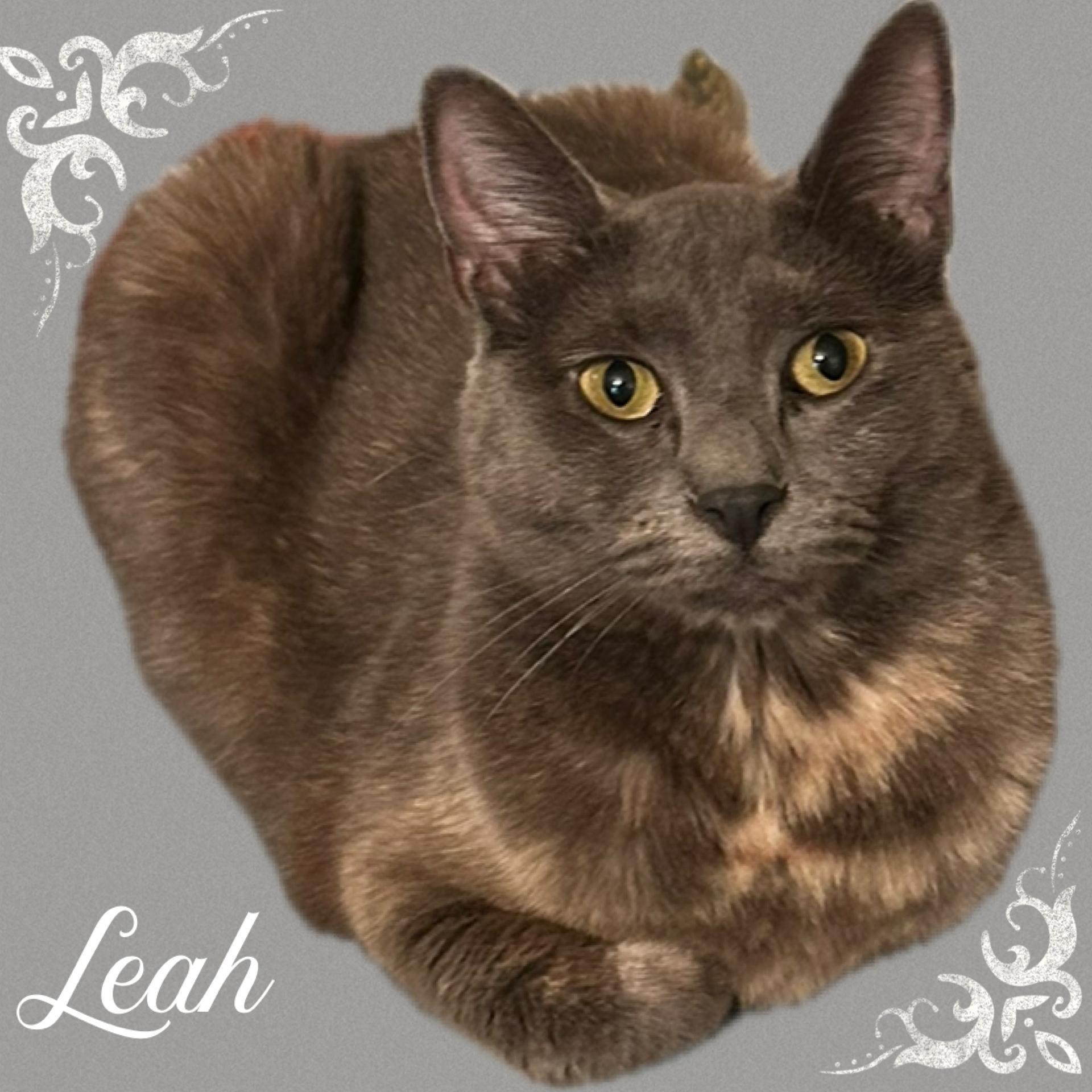 Leah