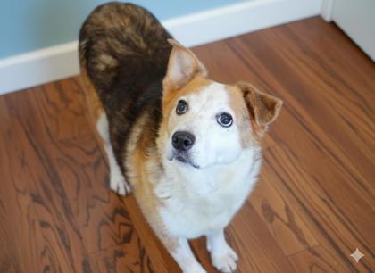 Carly~ Lbs!~ Sponsored!