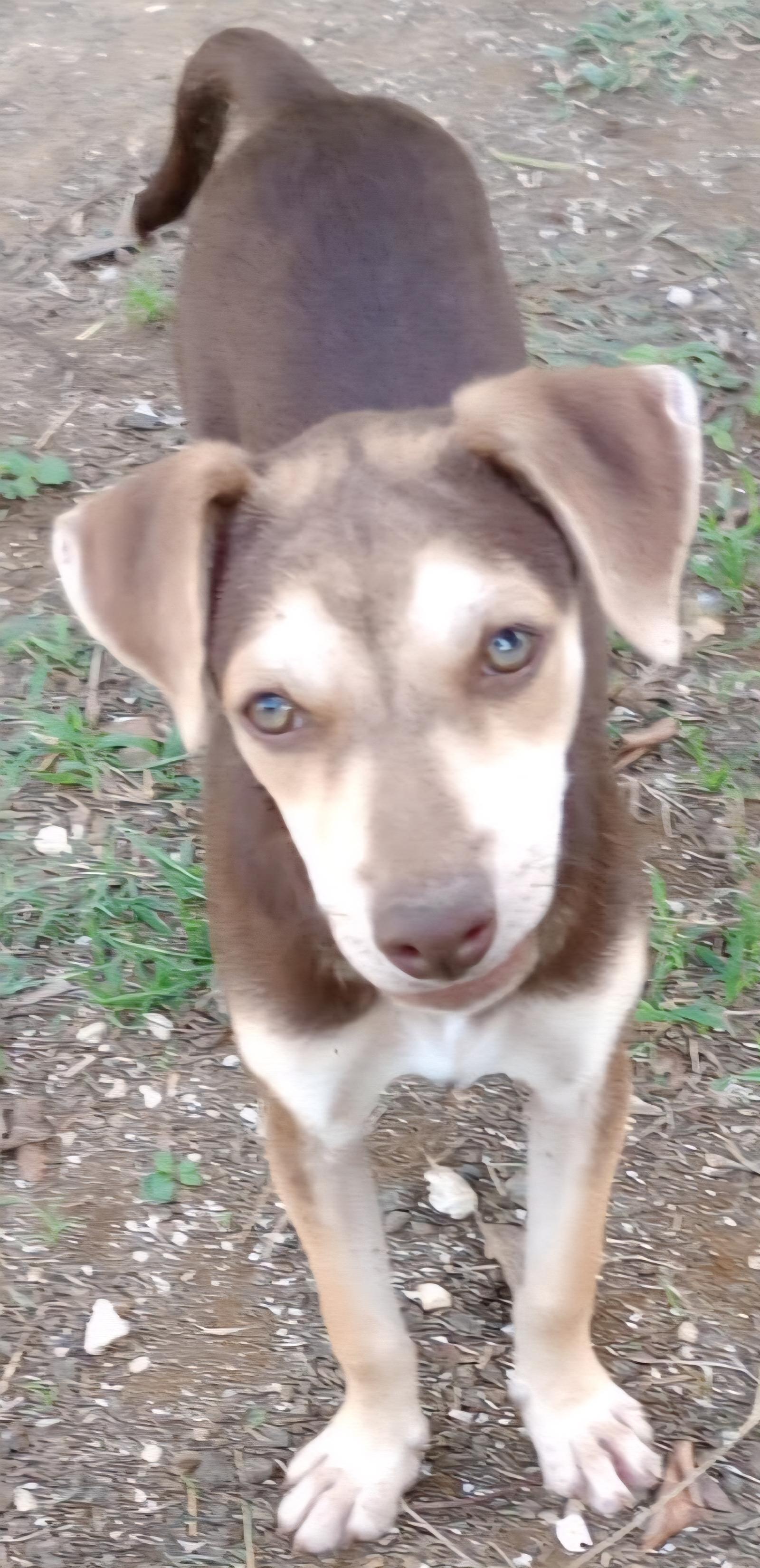 Choky "patiently Waiting For