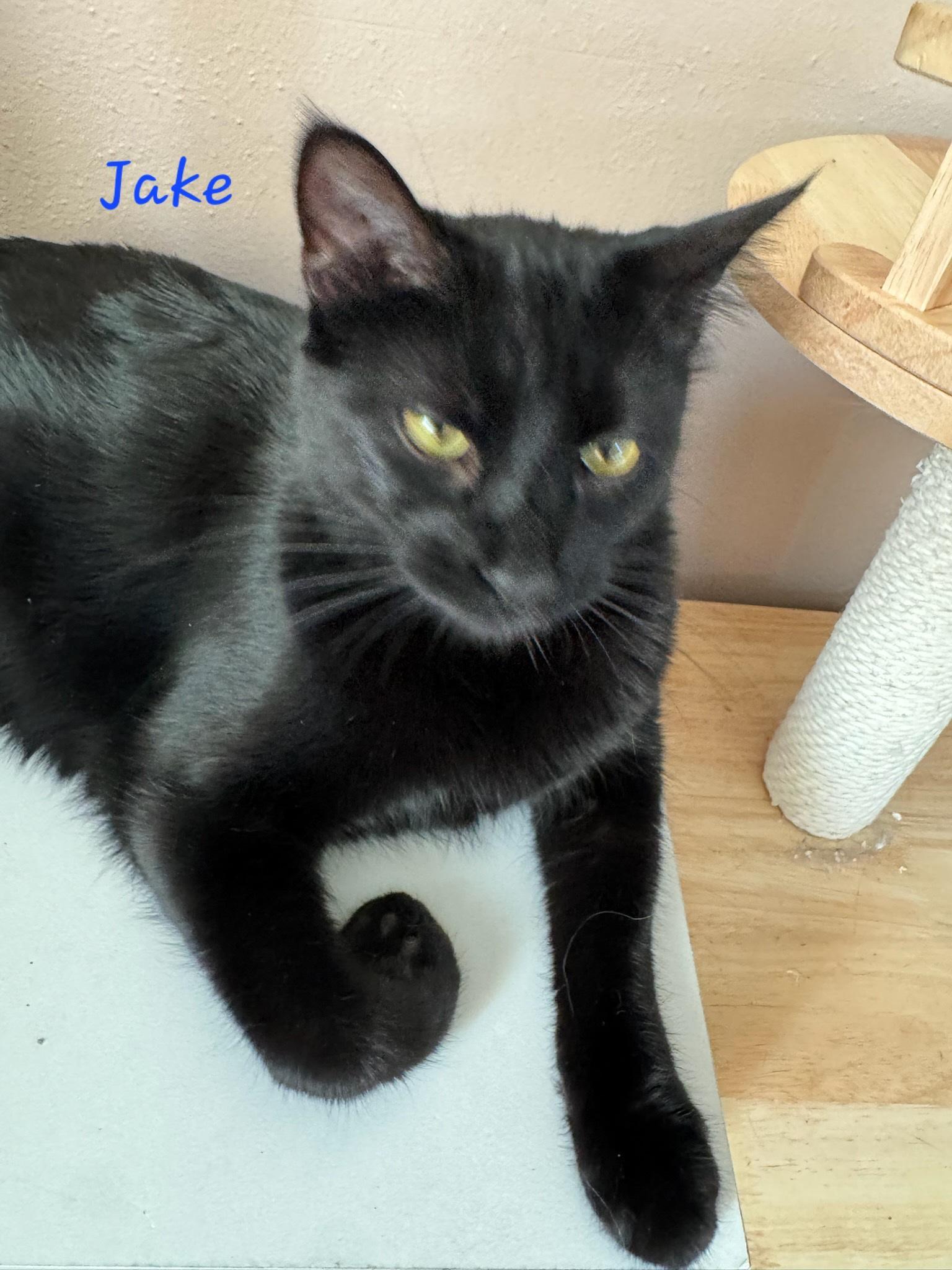 Jake