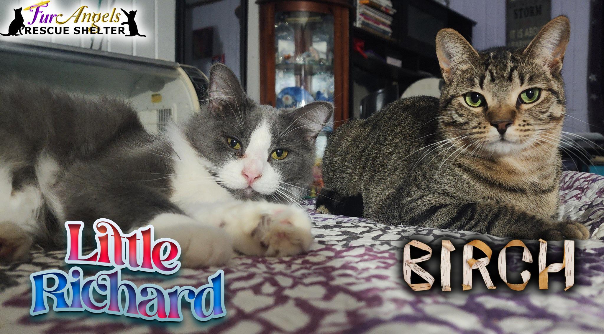 Birch & Little Richard