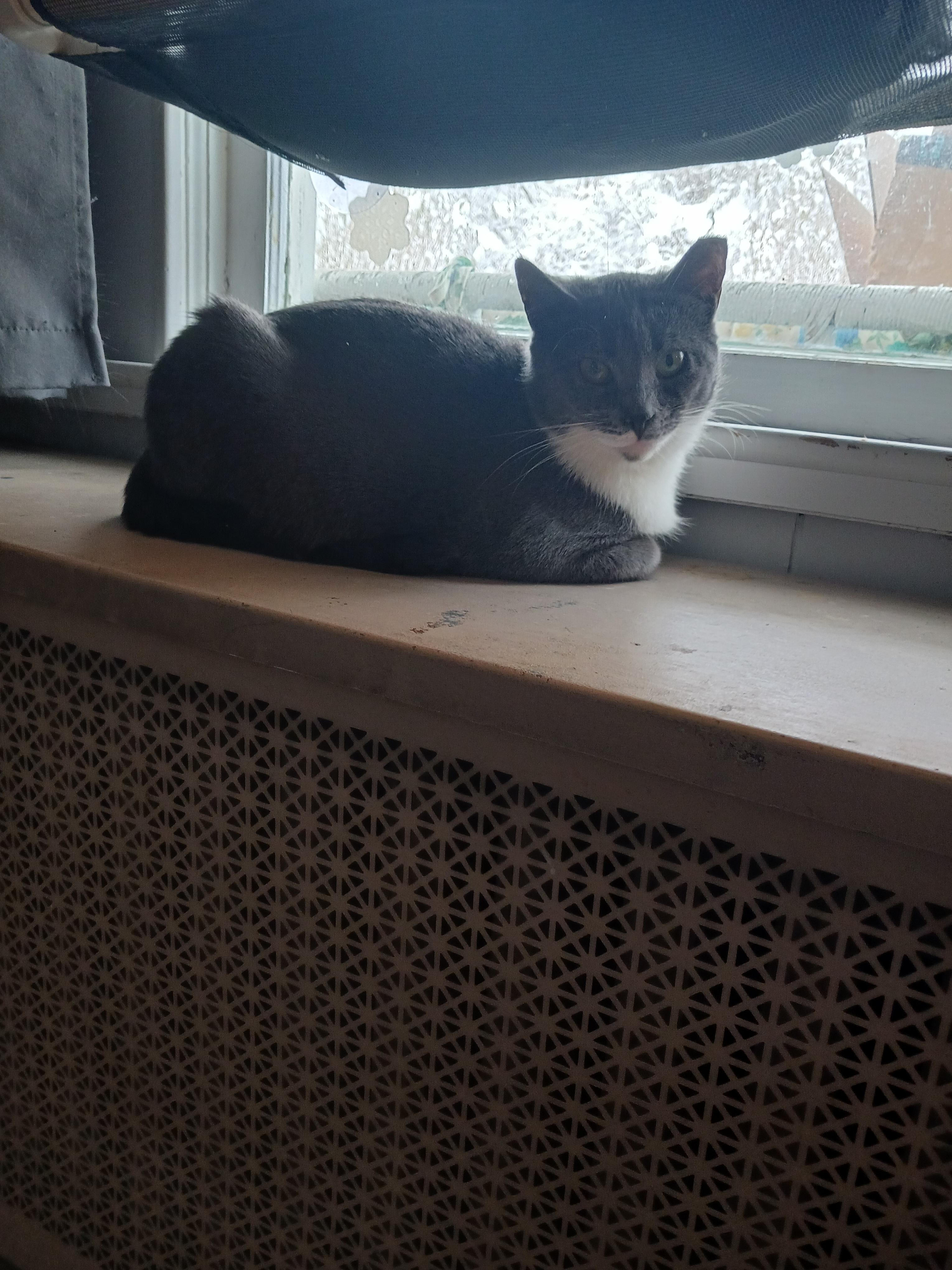 Millie & Snuffleupagus