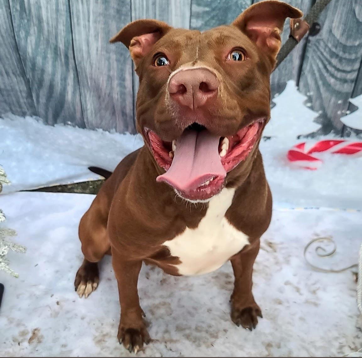 Moosie Longs To Connect