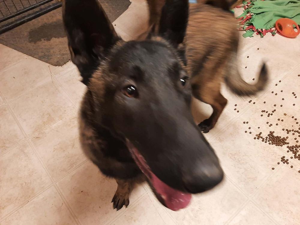 Baja Blast Located In