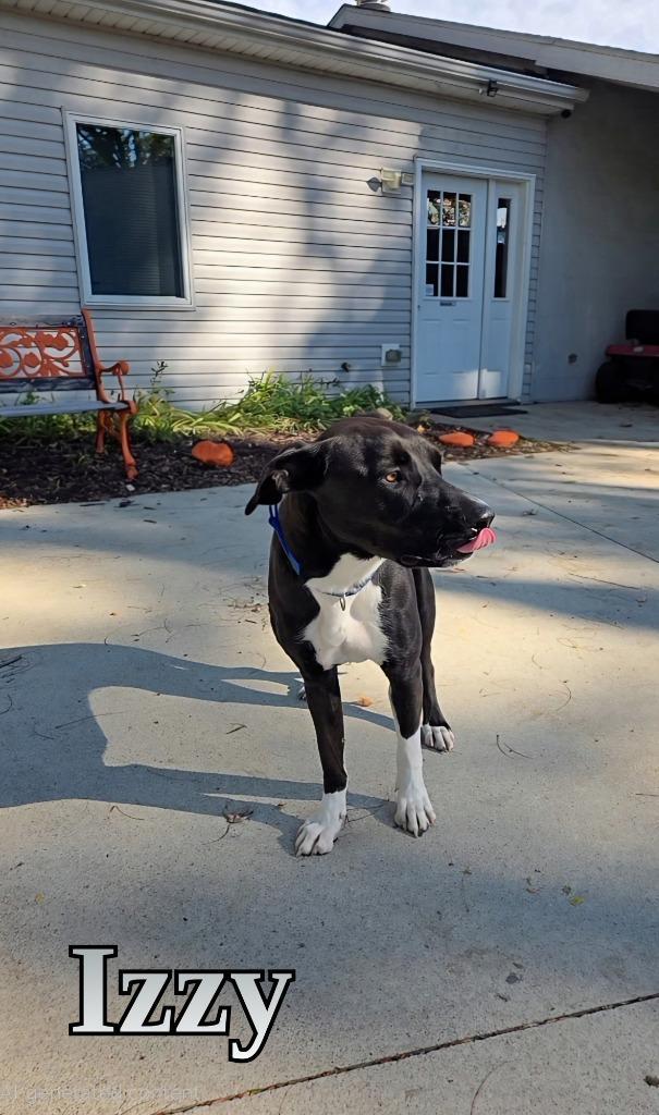 Izzy