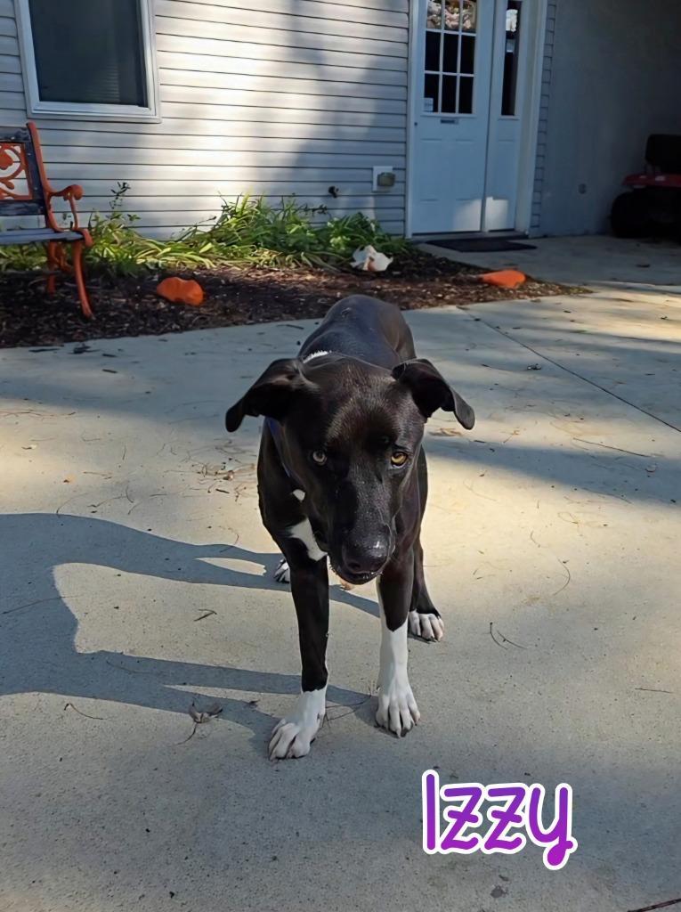 Izzy