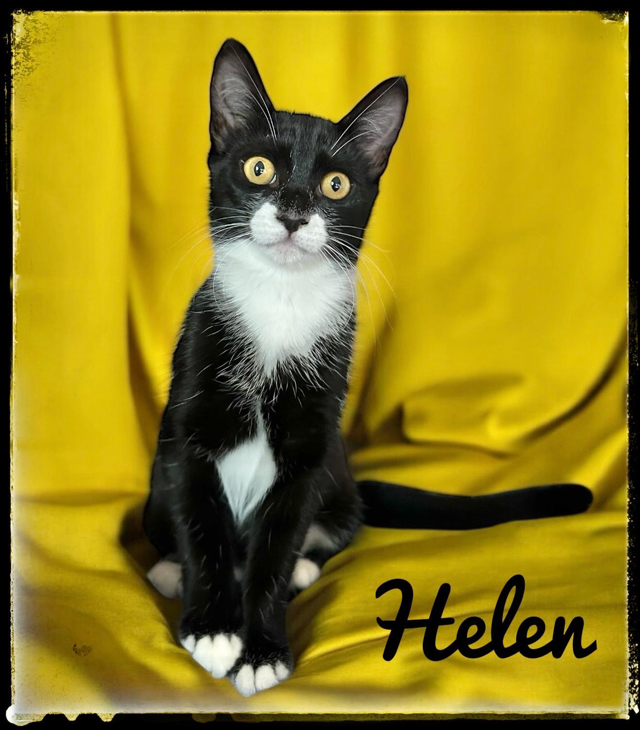 Helen