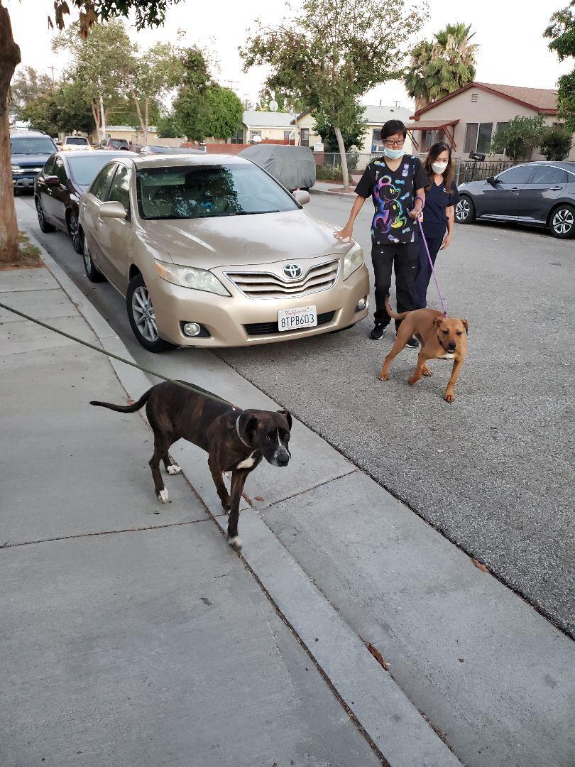 Calm Kala Supermodel!!!