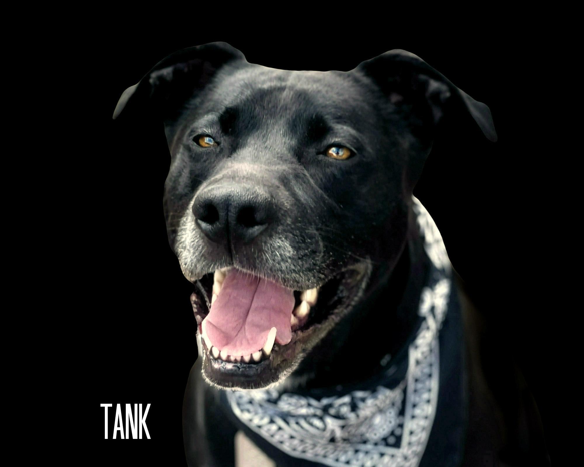 Tank