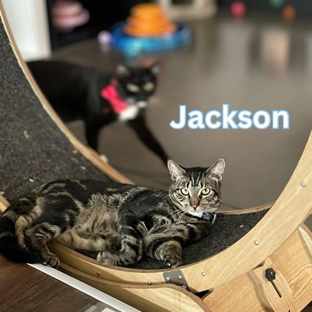 Jackson