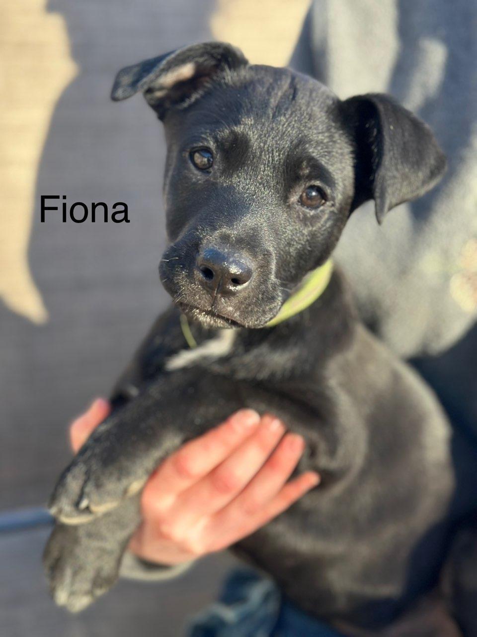 Fiona