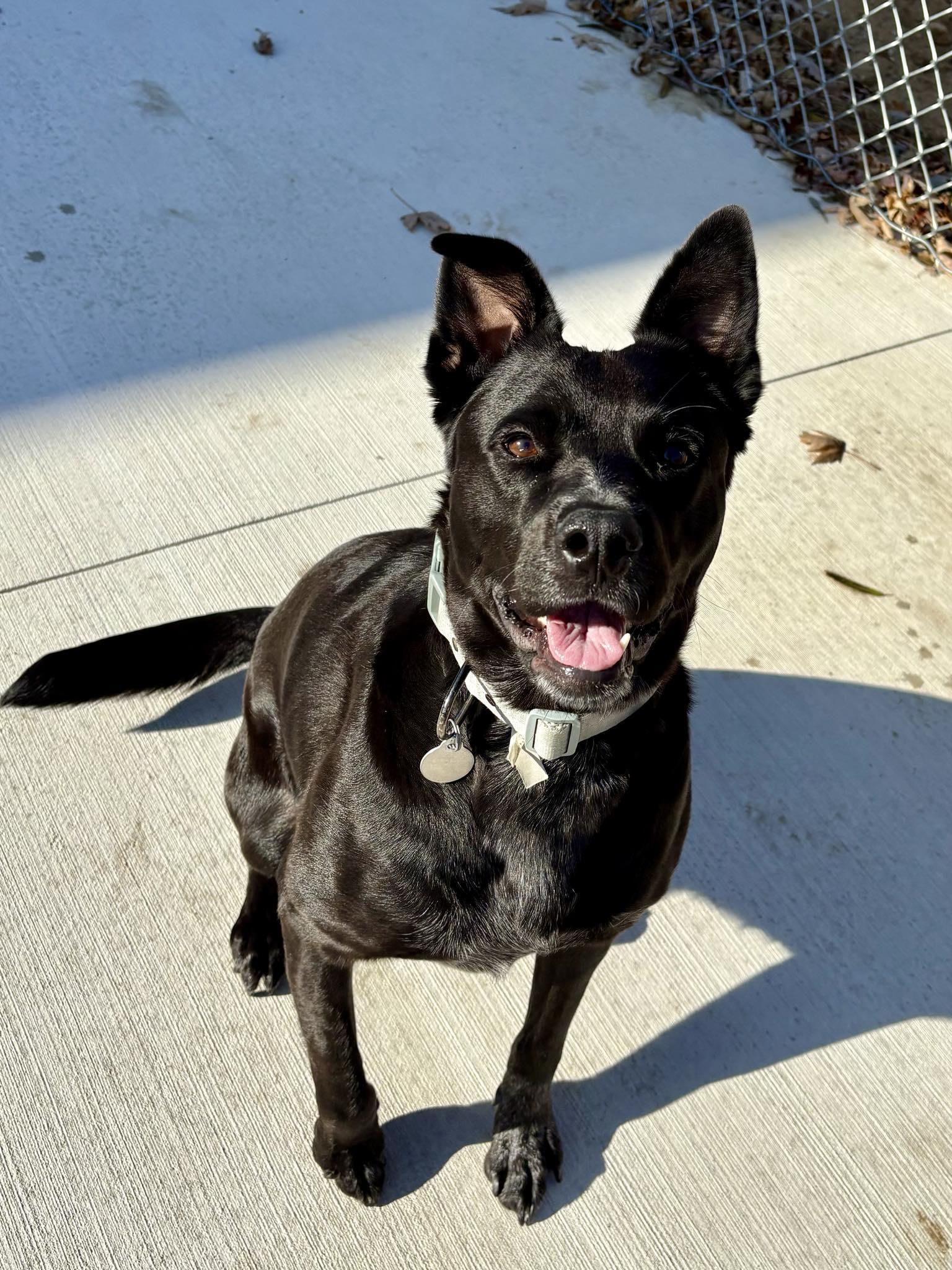 Maggie