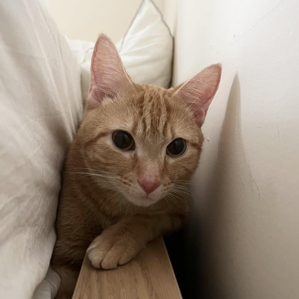 Johnny Drama photo 1